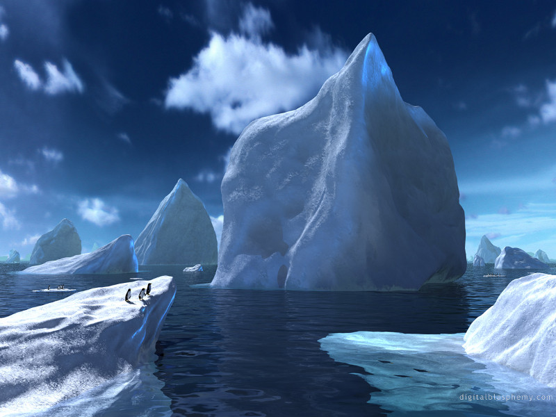 arctica